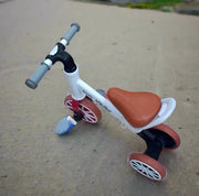 Strider Bike Glider Bike  Running Bike Murukali.com