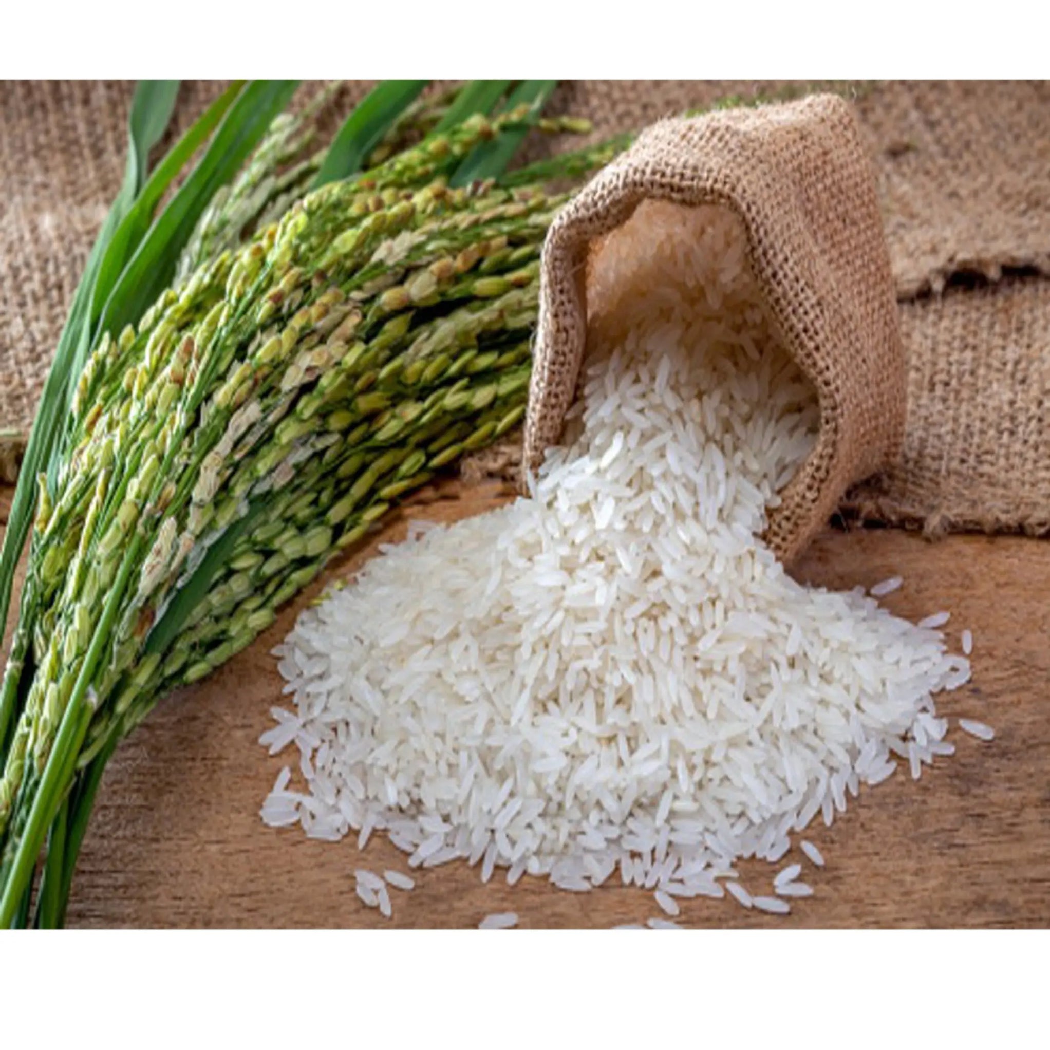 Thailand Rice /kg | Best Price in 2024 at murukali.com — Murukali.com