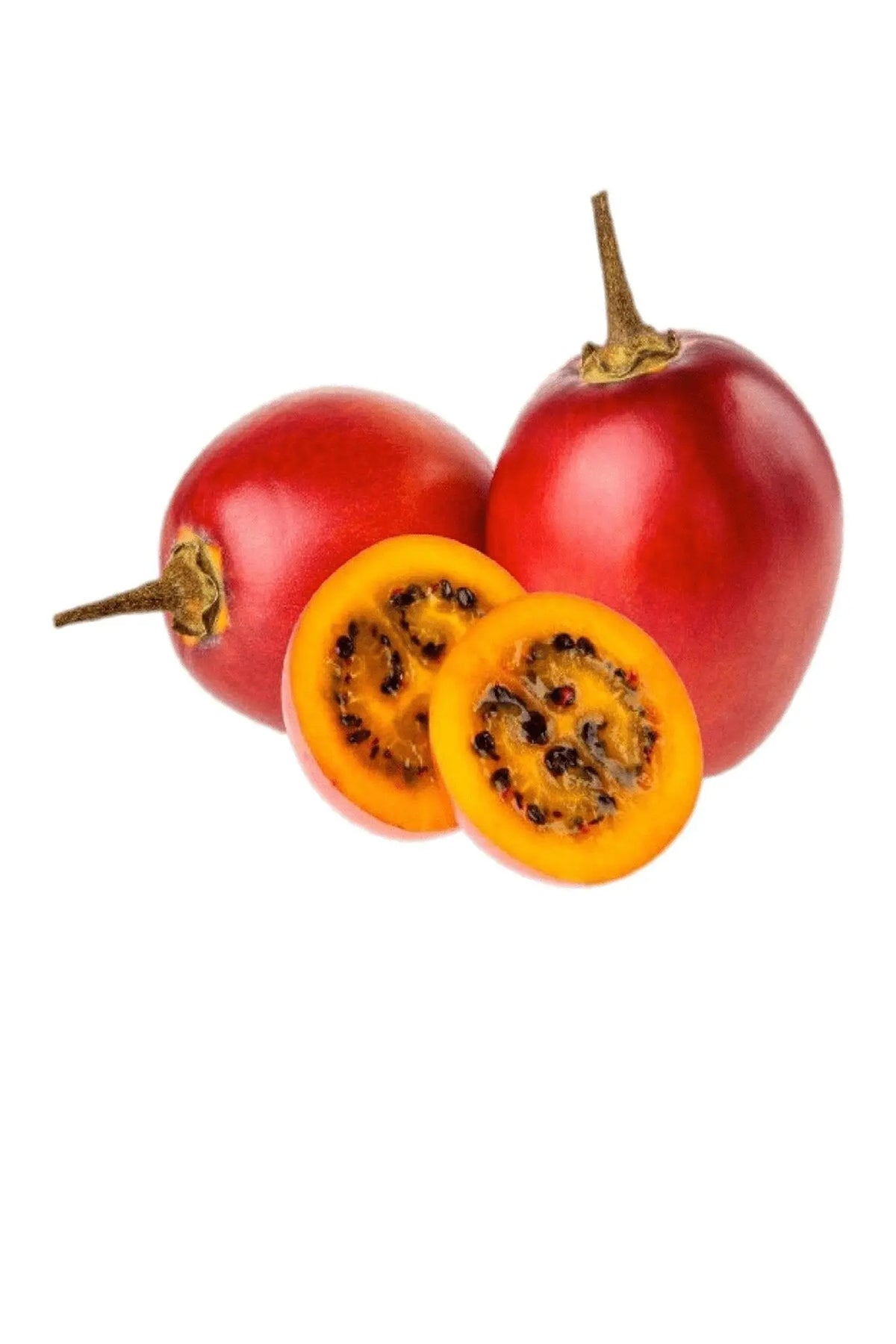 Tree Tomato/ Kg | Best Price in 2024 at murukali.com — Murukali.com
