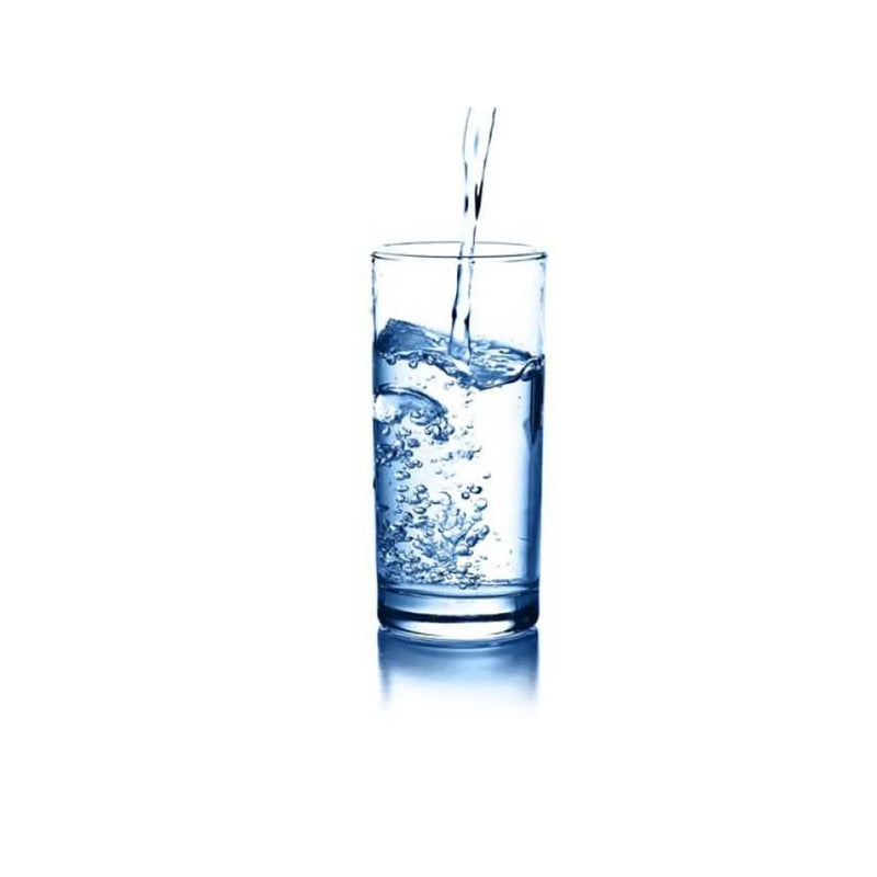 Water Glasses-mini /6pcs murukali.com