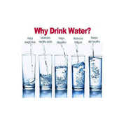 Water Glasses-mini /6pcs murukali.com