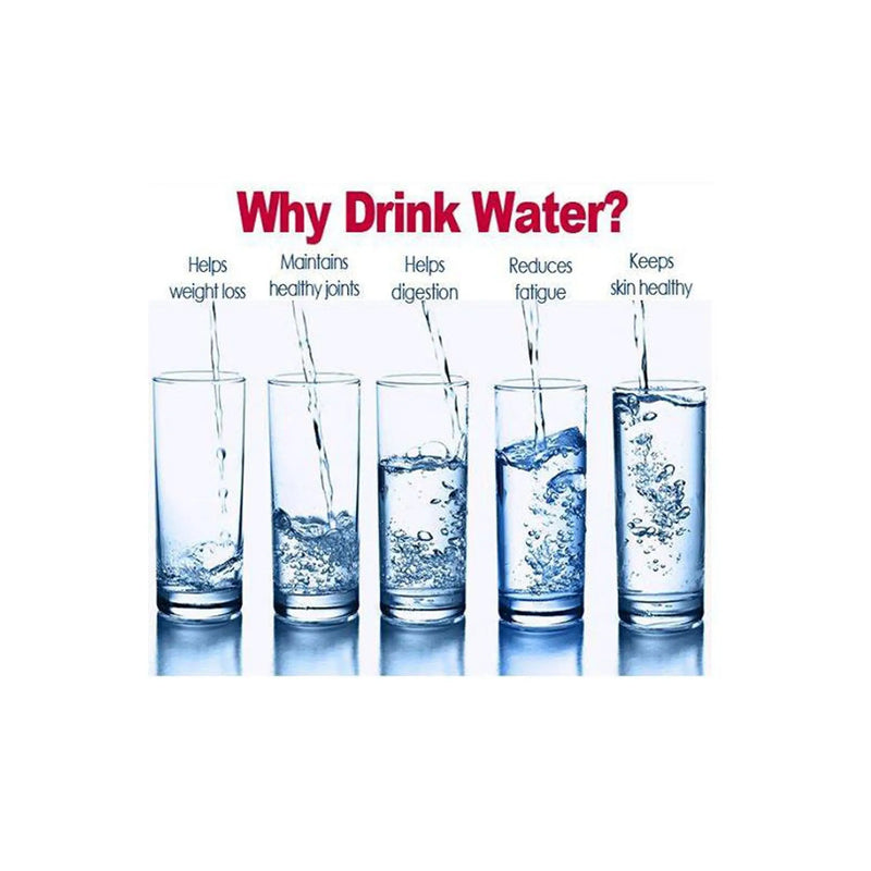 Water Glasses-mini /6pcs murukali.com