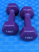 Weights dumbbell set 3 kg by 2, purple murukali.com