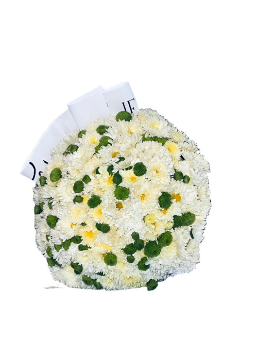 Daisy flowers with a delightful fragrance bouquet