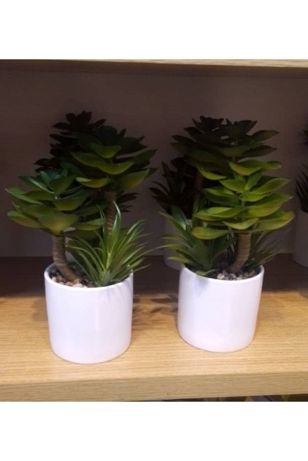 Artificial Succulent Plant in White Pot