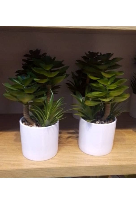 Artificial Succulent Plant in White Pot