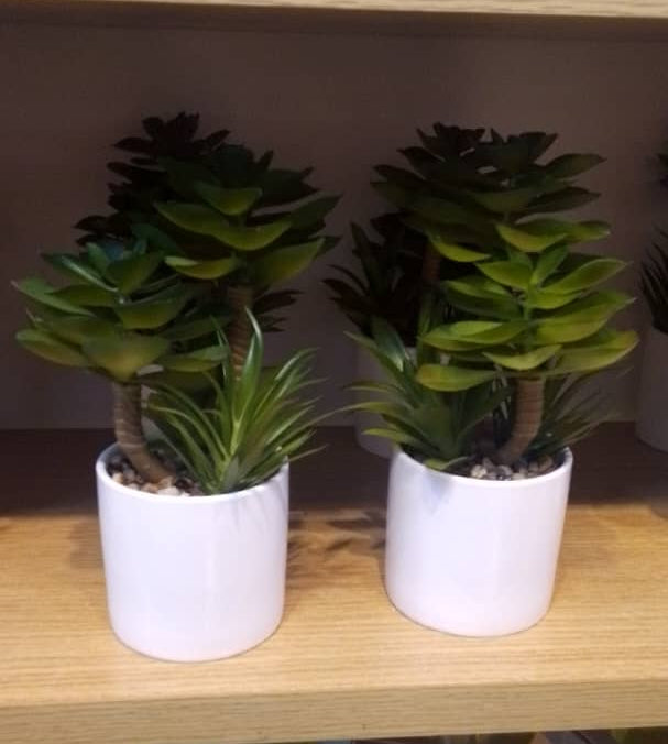Artificial Succulent Plant in White Pot
