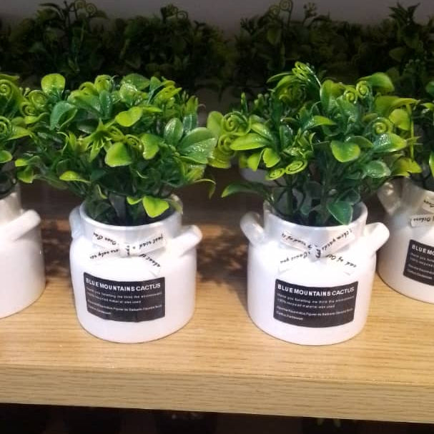 Artificial Succulent Plant in White Ceramic Pot