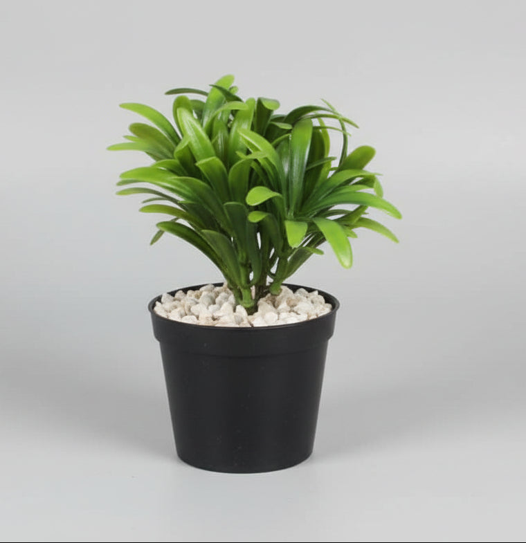 Artificial Bonsai Plant in Black Pot