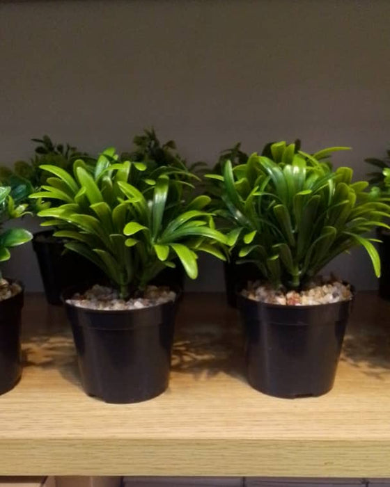 Artificial Bonsai Plant in Black Pot