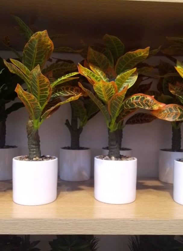 Artificial Croton Plant in White Ceramic Pot