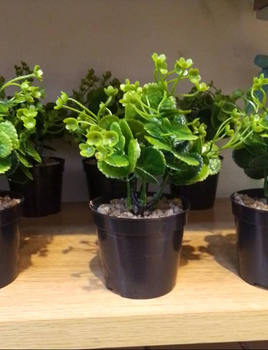 Artificial Green Bonsai Plant in Black Pot