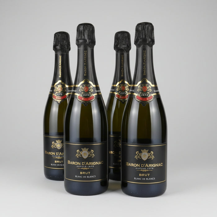 Baron d’Arignac Brut Blanc de Blancs Sparkling Wine 75cl