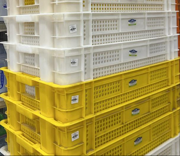 White Stackable & Nestable Food-Grade Plastic Crate XLarge