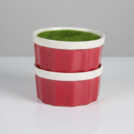 Ceramic Flower Pot 2pcs