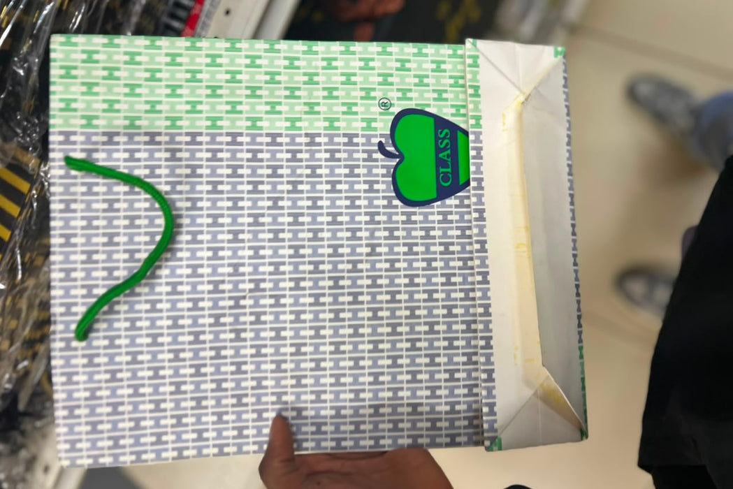 Class-Pguo Patterned Paper Gift Bag (31*32*10 cm)