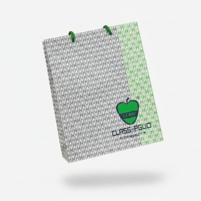 Class-Pguo Patterned Paper Gift Bag (31*32*10 cm)