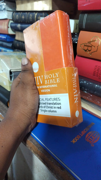 NIV Holy Bible English