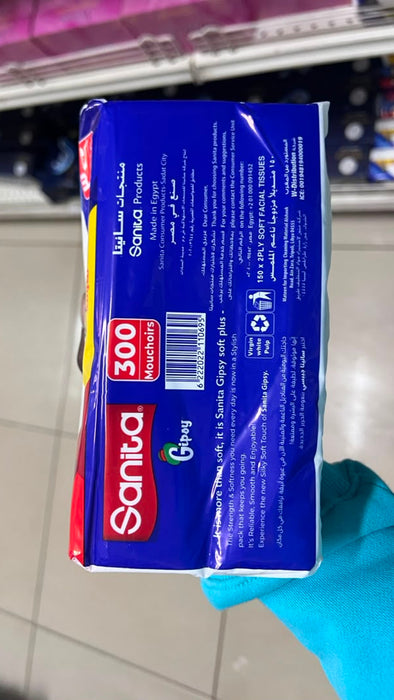 Sanita Gipsy Soft Plus Facial Tissues (300 Sheets)