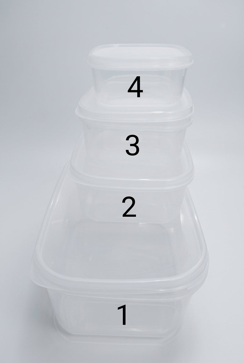 Plastic Storage Container