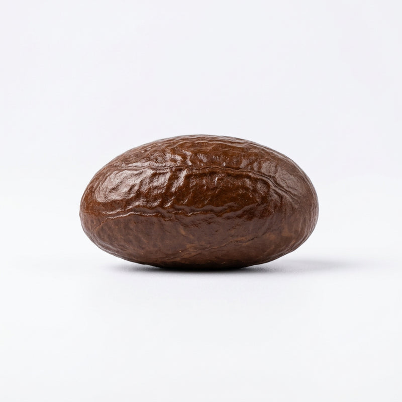 Bitter Kola Seeds/ 1piece