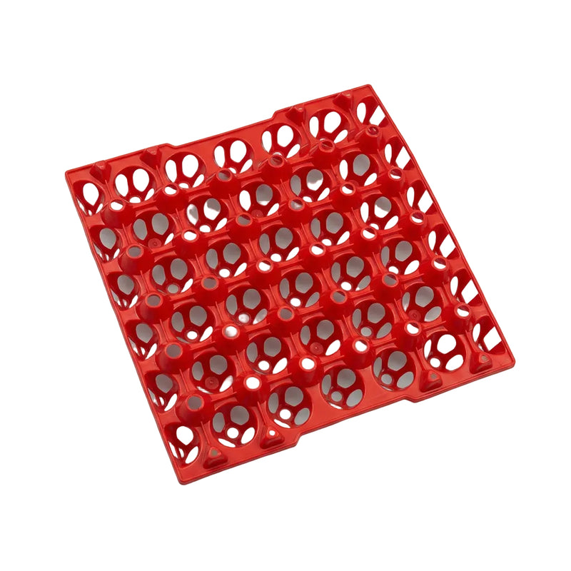 Reusable Plastic Egg Storage Tray (30-Egg Capacity)