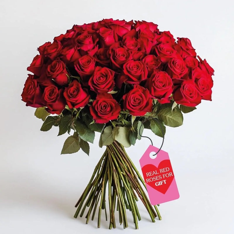 A Wrapped 100 Flowers Fresh Red Roses  Bouquet murukali.rw