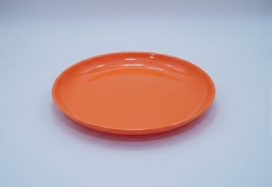 Section Plastic Meal Plates