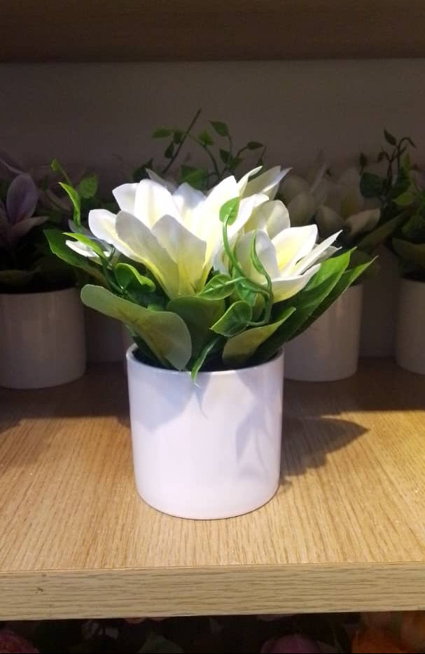 Decorative Artificial Flowers in White Pot