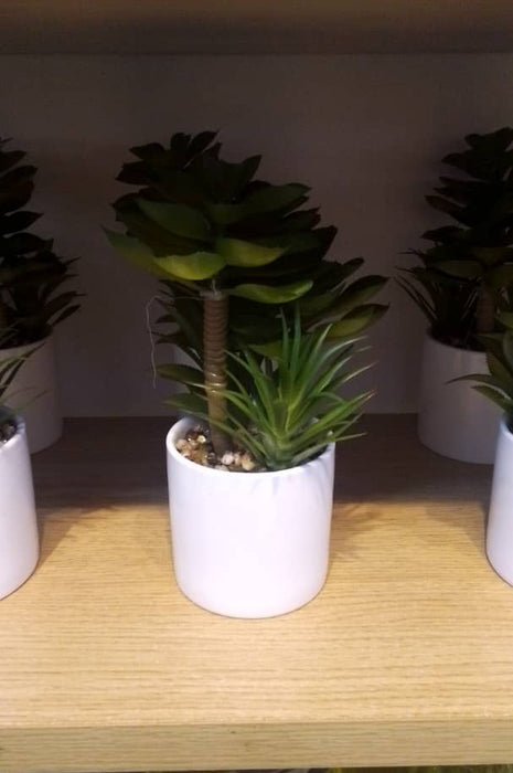 Artificial Succulent Plant in White Pot