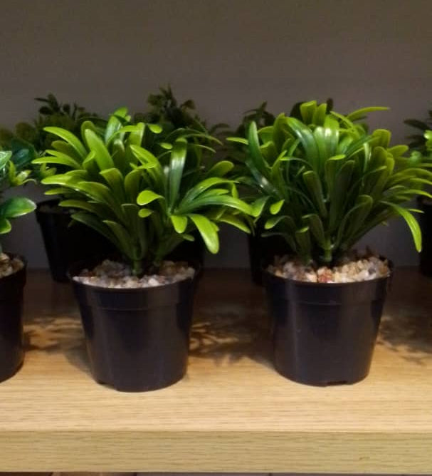 Artificial Bonsai Plant in Black Pot