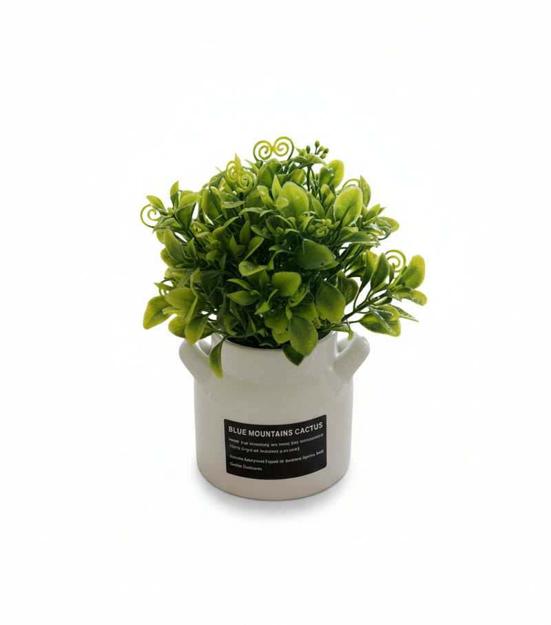 Artificial Succulent Plant in White Ceramic Pot