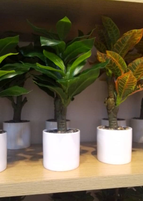 Artificial Croton Plant in White Ceramic Pot