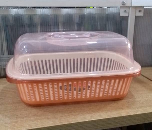 Plastic Kitchen Dish Drainer with Transparent Lid & Drainage Tray