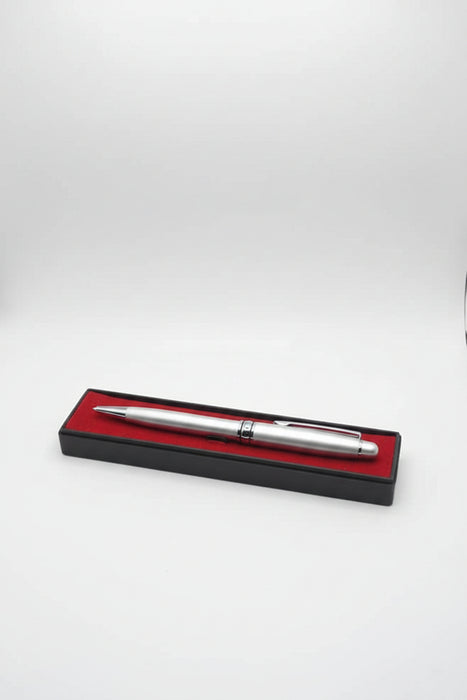 Stylo de poche-argent