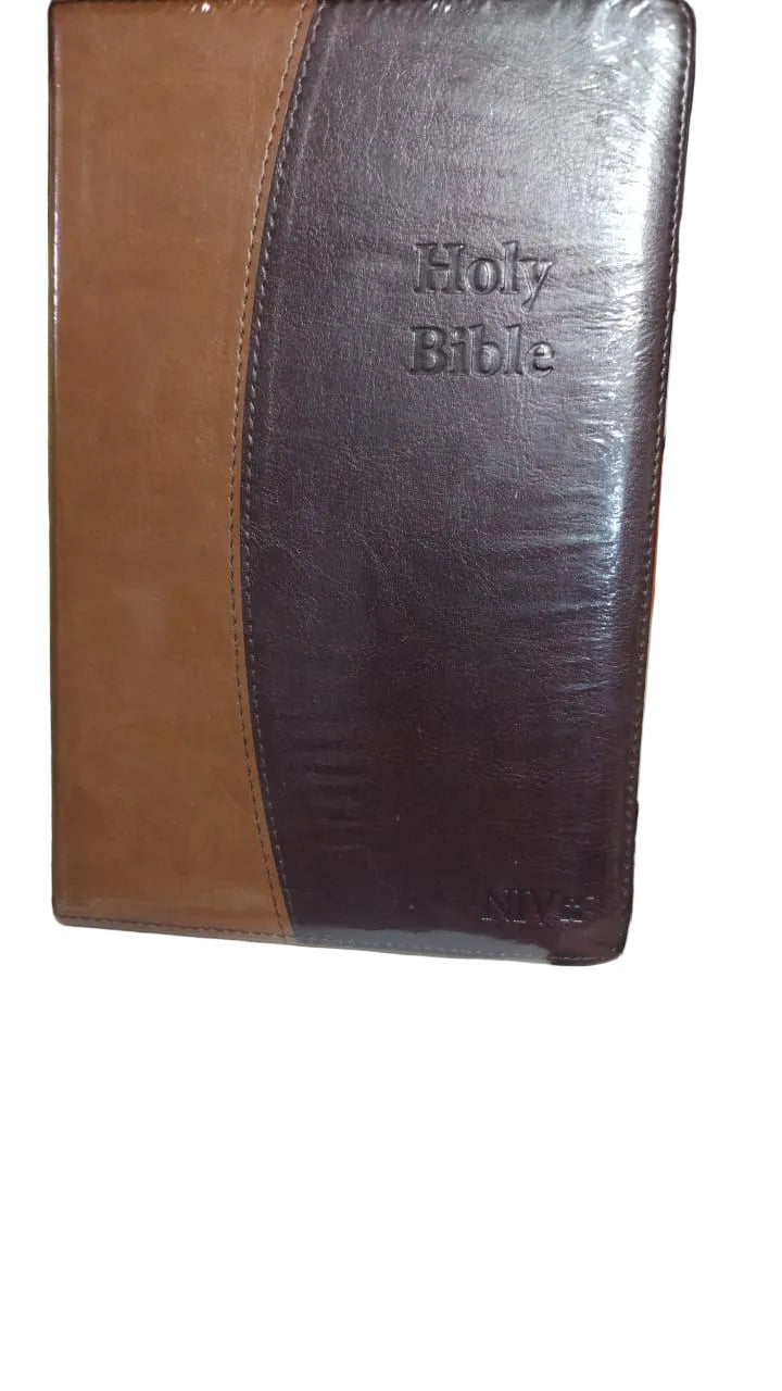 NIV Holy Bible