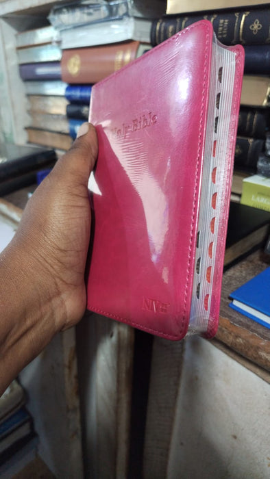 NIV Holy Bible (Compact / Pocket Edition) English