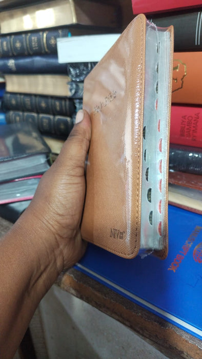 NIV Holy Bible (Compact / Pocket Edition) English