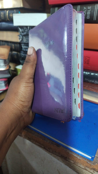 NIV Holy Bible (Compact / Pocket Edition) English
