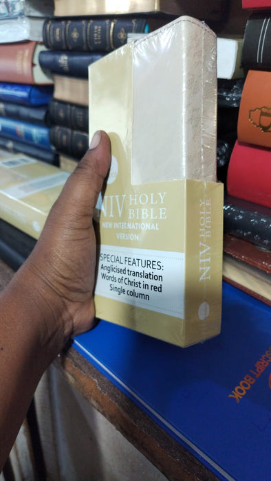 NIV Holy Bible English