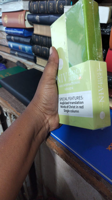 NIV Holy Bible English