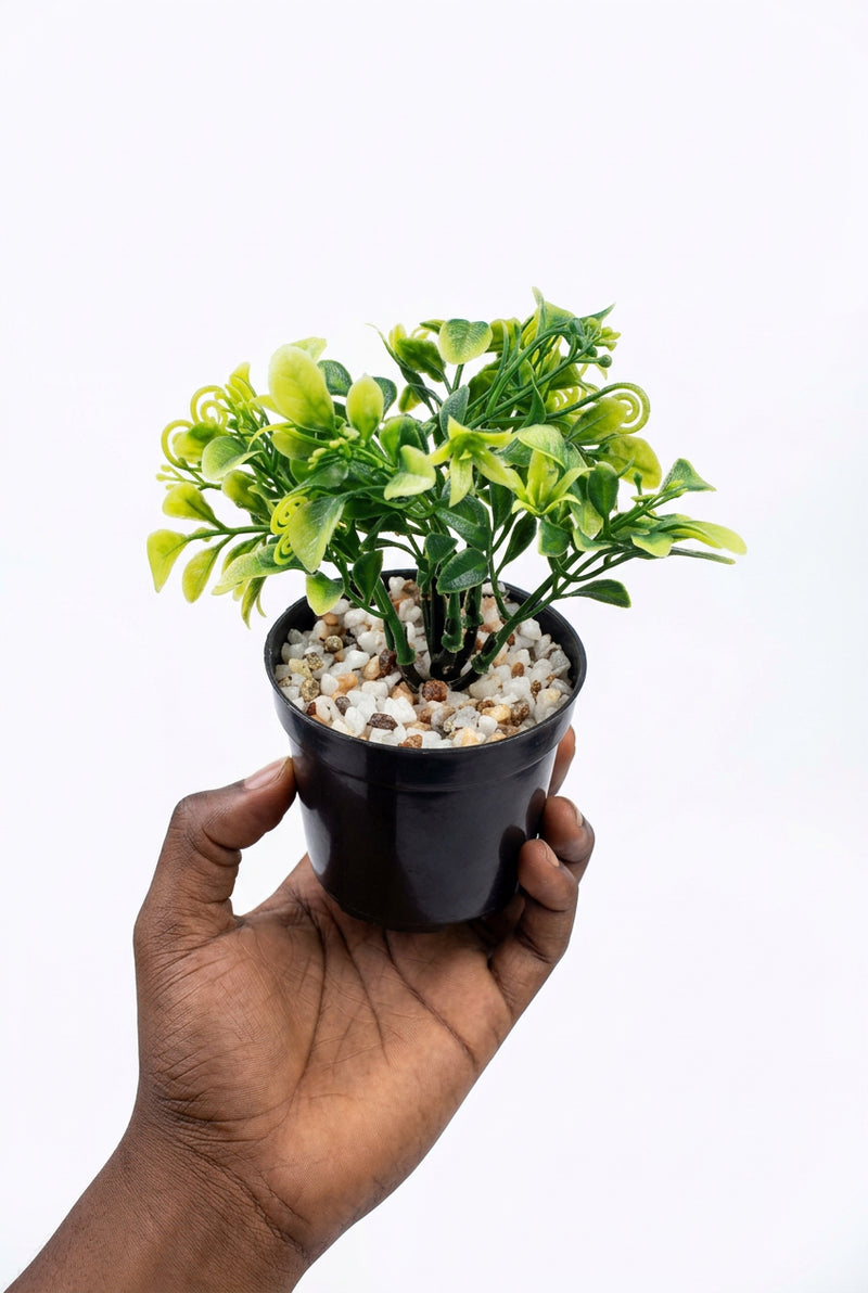 Mini Artificial Potted Green Plants /piece Small