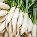 White Radishes / bunch murukali.com