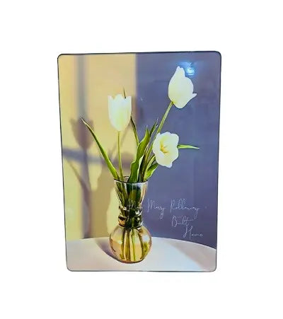 IMG_6835-removebg-preview