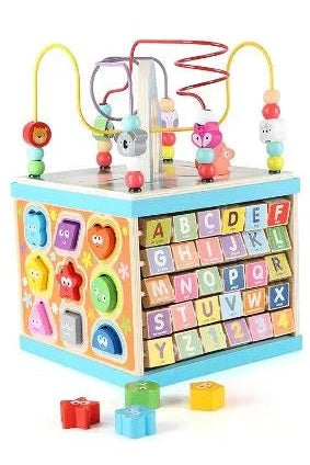 Wondertoys 5-in-1 Multi-Purpose Toy ABC-123 Abacus Pearl Labyrinth Shape Sorter Baby Activity Cube Toy murukali.com