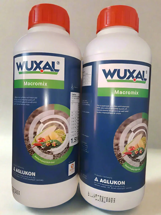 WhatsApp Image 2025-06-09 at 17.14.08_1e1d7990