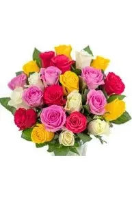 One Color Rose Flowers with Greens Boucket 60pcs murukali.com