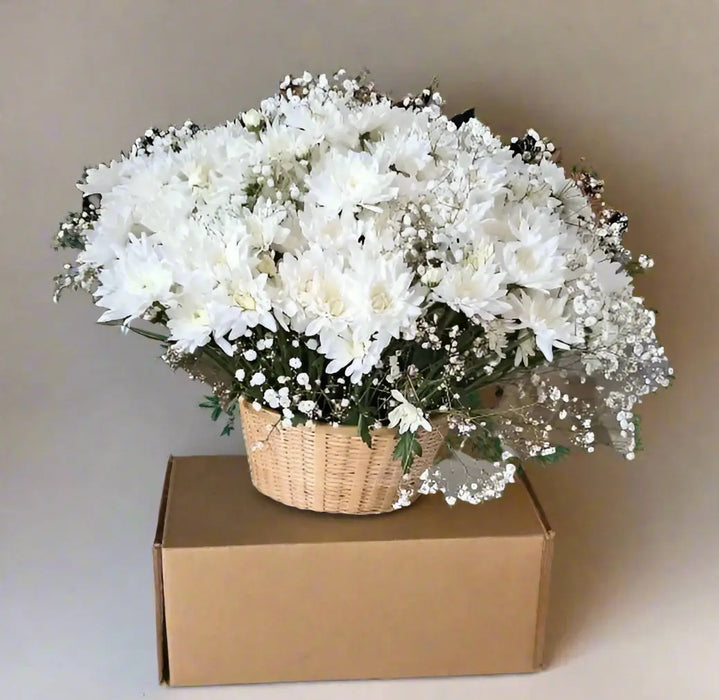 WhatsApp Image 2025-06-13 at 09.06.25_5d0313f0